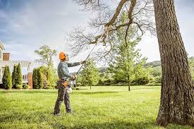 Reliable Independence, WI Tree Removal and Landscaping Services Solutions